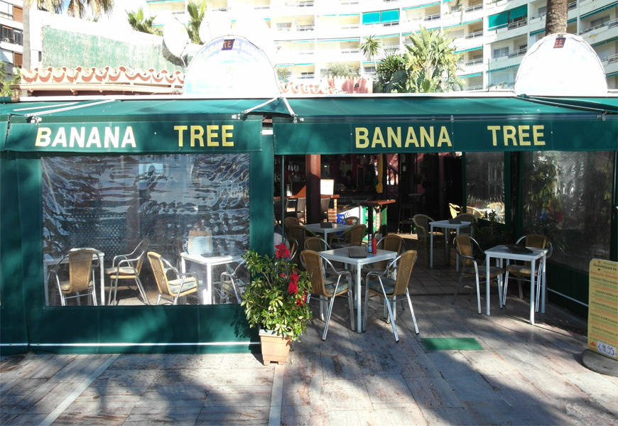 Banana Tree Marbella Centro