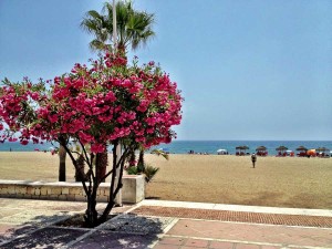 Marbella_Beaches2